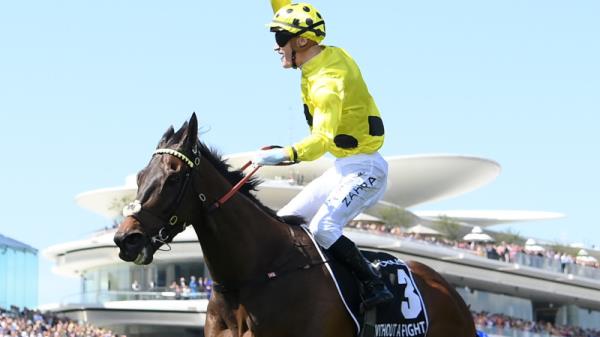 2023年墨尔本杯：没有战斗在弗莱明顿获胜，克里斯沃勒训练的Soulcombe和Sheraz分别获得第二和第三名