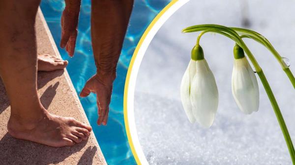 100年日历预测：2024年春天将是这样的