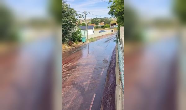 相当于奥运会泳池大小的葡萄酒冲毁了葡萄牙的一个小镇