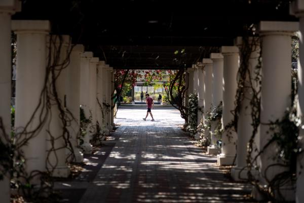 今日观点：大学正处于危机之中这是什么？这取决于你问谁