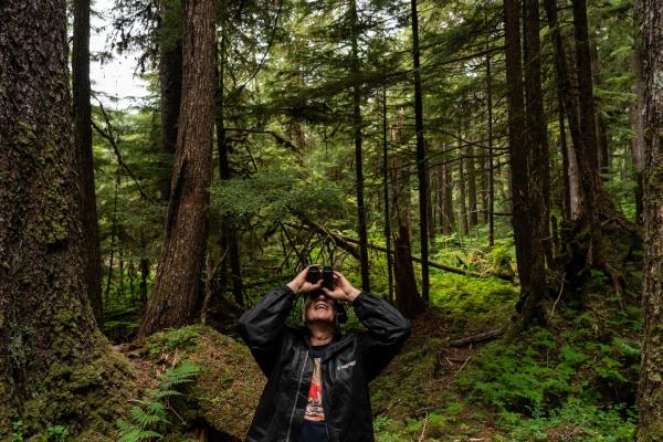 拜登对原始森林的调查引发了关于保护的辩论