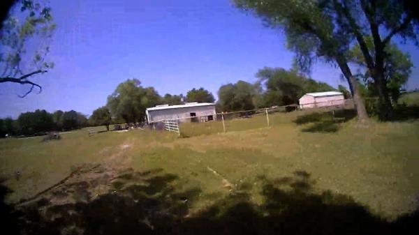 俄克拉荷马州警方对呼救声作出回应那是一只尖叫的山羊