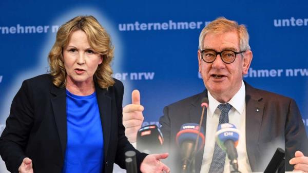 企业家老板指责环境部长斯特菲·莱姆克：“完全错误和不现实”