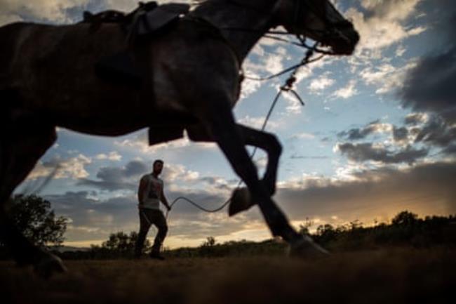 A trotting horse being led by a man on foot. Both are in silhouette against an evening sky.