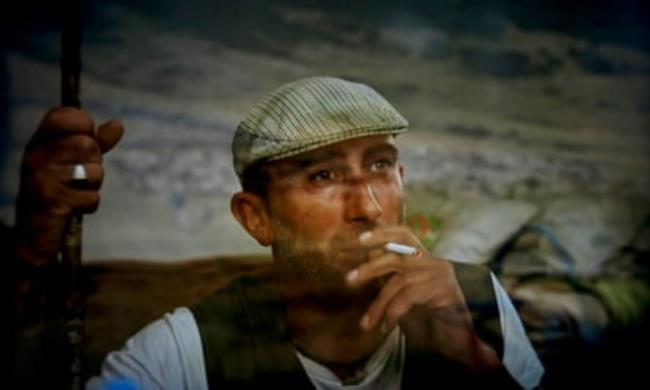 Juan Díez, a transhumant shepherd, says o<em></em>nce summer wolves killed 121 of his sheep.