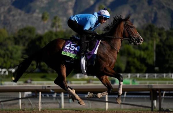 今年一连串的赛马死亡事件让育种者杯受到了密切关注