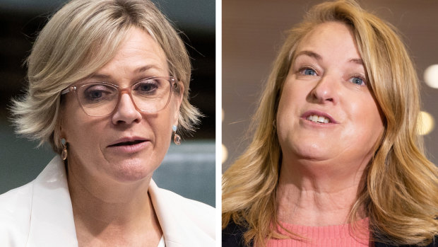 Zali Steggall和Kylea tinink为席位取消争执不休