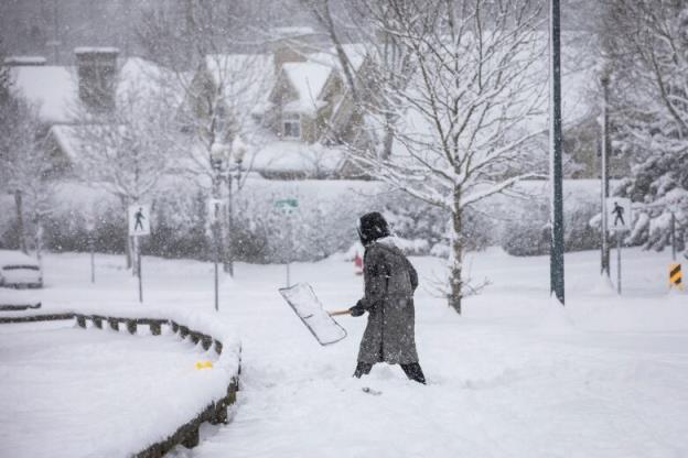 A woman is pictured holding a shovel amid a snowy park, with stringy bare trees and homes in the far background covered in snow. 