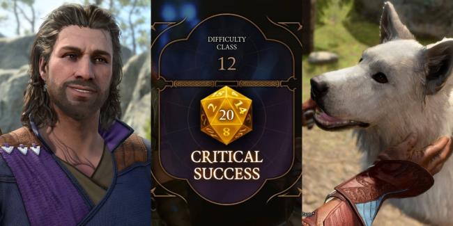 split image showing Gale, Scratch, and a golden dice in baldur's gate 3 