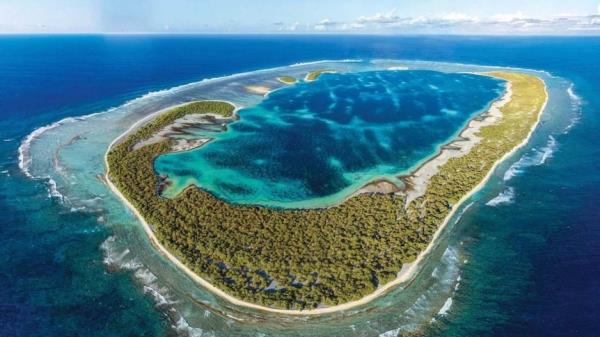 以埃斯佩兰斯为基地的海鸟研究人员几十年来首次前往杜西岛进行研究旅行