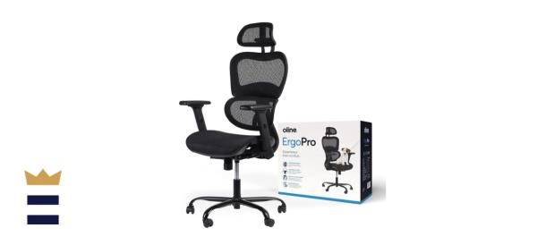 Oline ErgoPro Ergo<em></em>nomic Office Chair
