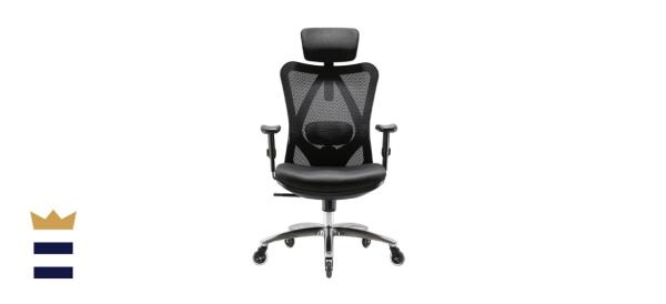 XUER Ergo<em></em>nomics Office Chair