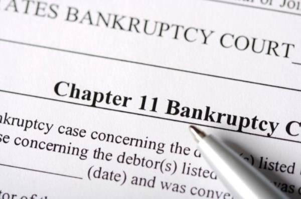 United States legal docu<em></em>ments focused on Chapter 11 Bankruptcy.