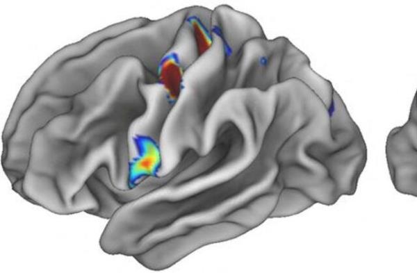 科学家发现人脑中的身心联系
