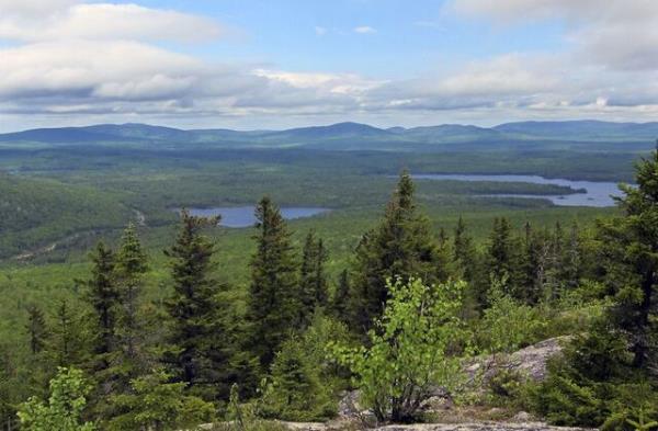 缅因州货运列车脱轨，三名员工受伤