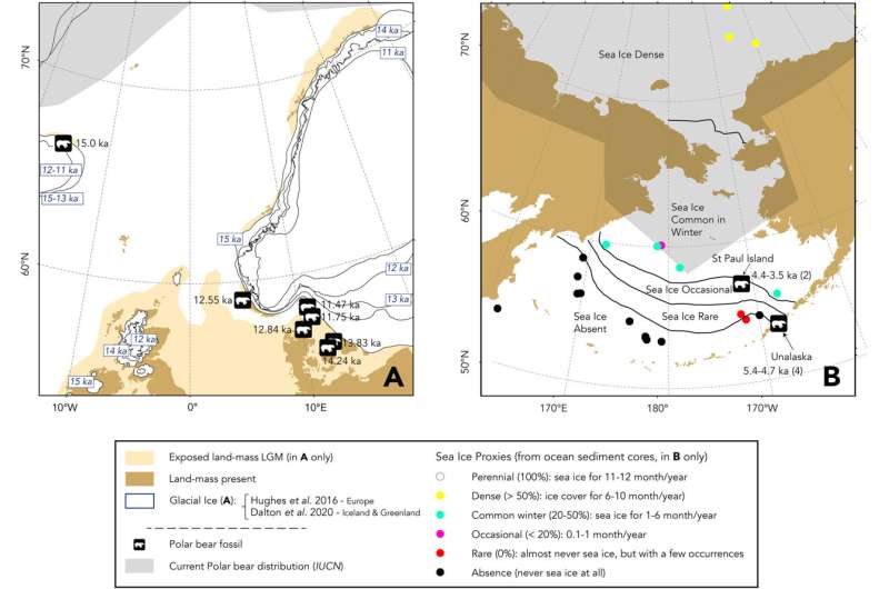 Fossil polar bears survived last global warming deglaciation in Siberian and Canadian refugia 
