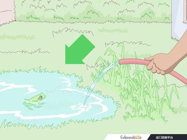 4种吸引青蛙的方法