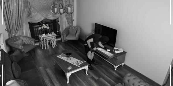 来自南美的非法移民团伙正在密歇根州的高档住宅进行入室行窃