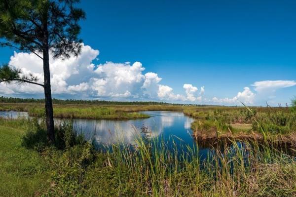Gulf Shores State Park