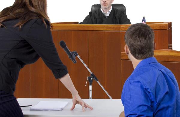 New York City’s six major public defender groups provide free court representation to low-income New Yorkers in both criminal and civil matters. 