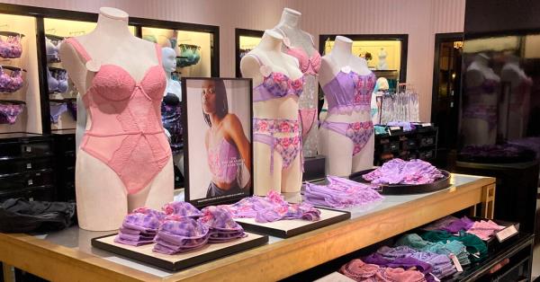 “维多利亚的秘密”视频-诉讼展示了观众没有看到的东西