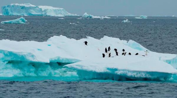 “北大西洋温度创历史新高”