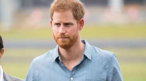 报道：哈里王子让阿奇、莉莉波特成为美国人的“痴迷”