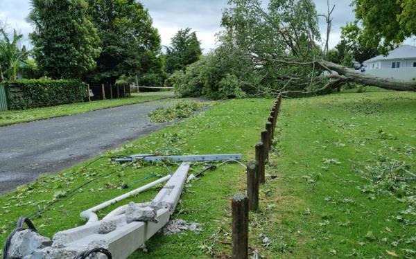 Power lines down in Scott St, Leamington, Cambridge, Waikato.