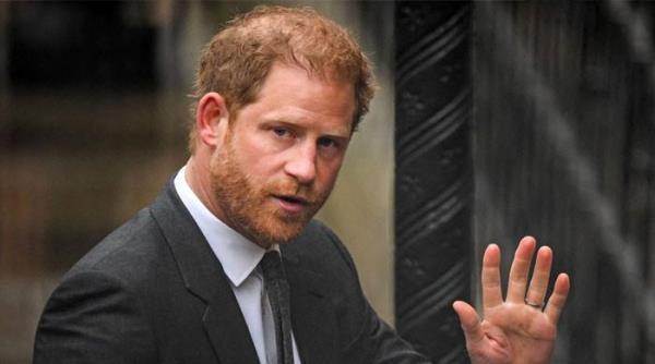 哈里王子拖延了与查尔斯王子45分钟的会面：“本来可以通过电话完成的”