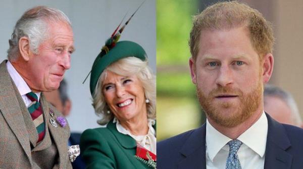 哈里王子嫉妒卡米拉王后与查尔斯国王的幸福婚姻