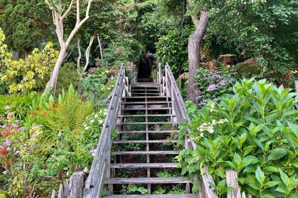 为什么旧金山的菲尔伯特街台阶值得一爬