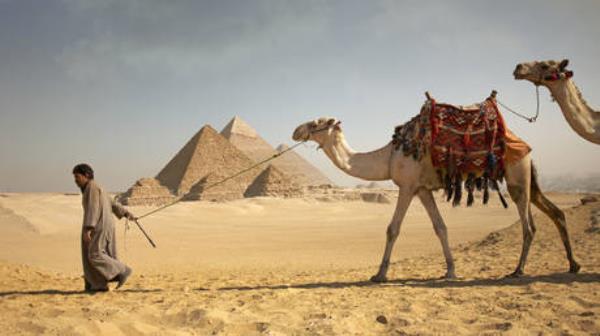 埃及失去了俄罗斯媒体的青睐