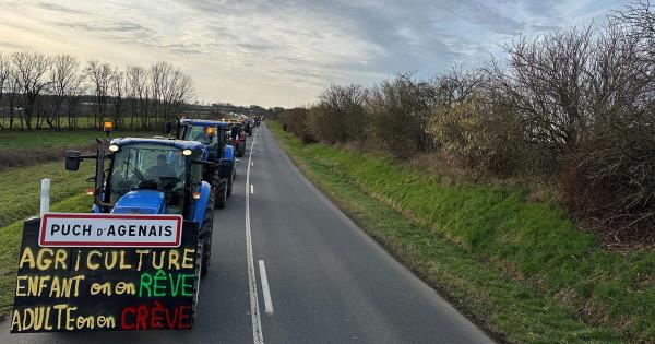 农民的愤怒：在通往Rungis的道路上，团结和对受挫车队的幻灭