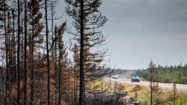 “没有人会掉队”-西北地区大火达到临界点，更多居民被疏散