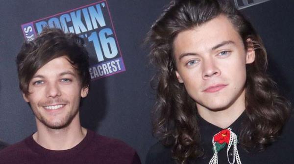 网友对路易斯·汤姆林森接手哈里·斯泰尔斯的传闻的反应