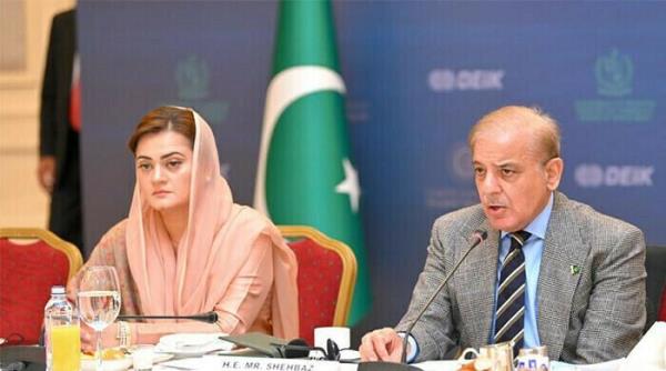 “讽刺”，玛丽亚姆澄清了总理的“眼中钉”评论