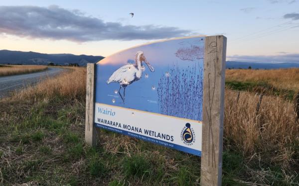 The Wairarapa Moana is one of more than 2000 internatio<em></em>nally im<em></em>portant wetlands worldwide and gained Ramsar status in 2020.