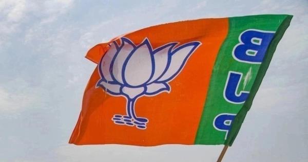 在人民院投票之前，印度人民党在美国的海外朋友在20个城市举行汽车集会