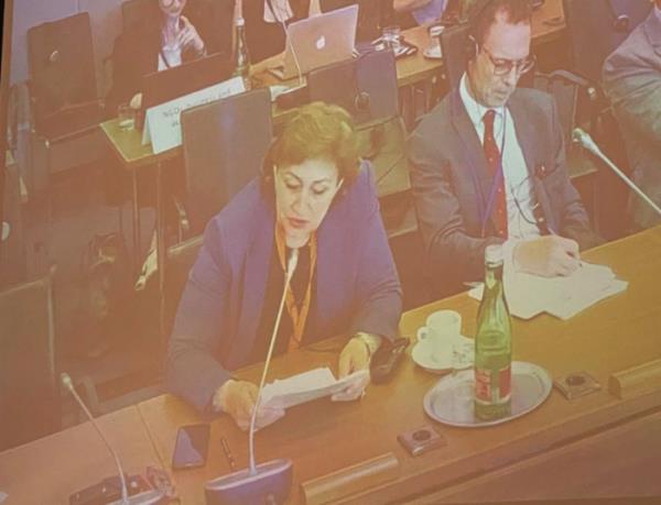 欧安组织会议强调西阿塞拜疆人回返的权利