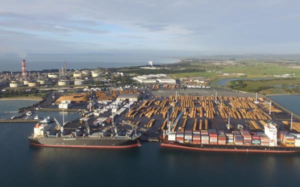 弗莱彻大厦在来年盈利前发出警告