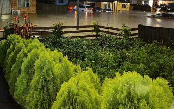 Pictures from the Auckland Anniversary floods.