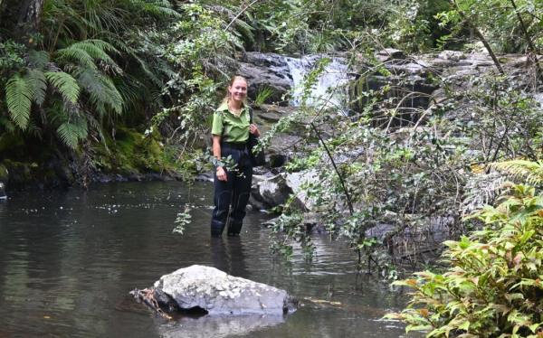 DOC ranger Fern Do<em></em>novan in the Waipoua River.