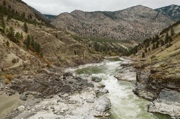 离水的鱼：北美干旱烤鲑鱼