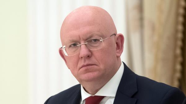 俄罗斯驻联合国大使驳斥泽连斯基所谓的和平方案“行不通”