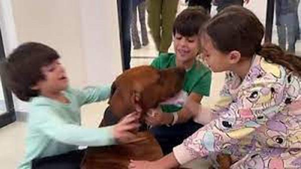 以色列-哈马斯战争：被绑架的以色列儿童与他们的狗团聚的温暖时刻