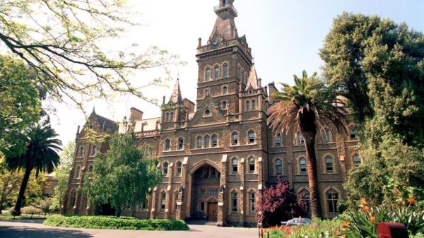 来自专家的建议：如何不填满你的本科学位