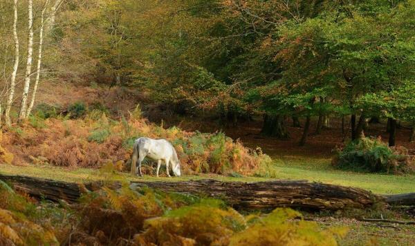 最好的节礼日散步，尽头是一个非常舒适的酒吧
