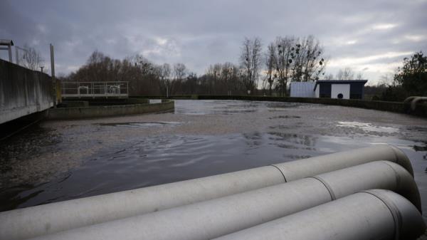 瓦兹南部的石油污染：一项查明责任人的调查