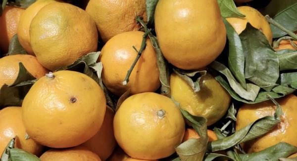 美国上诉法院裁定EPA批准人类抗生素作为柑橘类杀虫剂是非法的