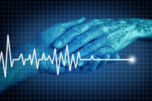 与欧洲邻国相比，法国关于生命终结的法案所允许的是什么